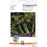 Семена огурец Криспина F1, 15 семян