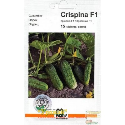 Семена огурец Криспина F1, 15 семян