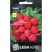 Семена редис Сора, 10 г