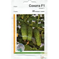 Семена огурец Соната F1, 20 семян