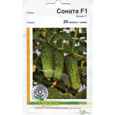 Семена огурец Соната F1, 20 семян