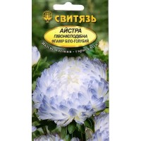 Семена цветы Астра китайская пивониеподобная Фламир бело-голубая, 0,3 г