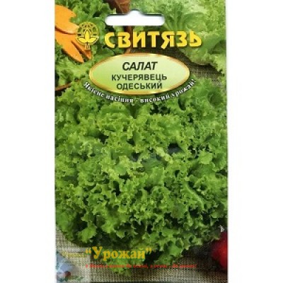 Насіння салат Кучерявець одеський, 10 г