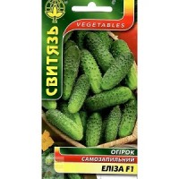 Семена огурец Элиза F1, 15 семян