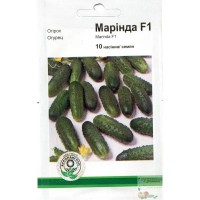 Семена огурец Маринда F1, 10 семян
