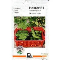 Насіння огірок Гектор F1, 20 насінин