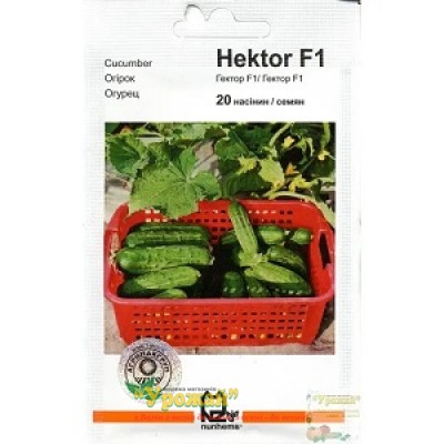 Насіння огірок Гектор F1, 20 насінин