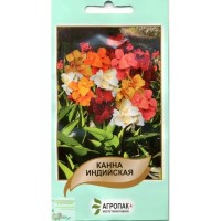 Семена Канна индийская, 5 семян