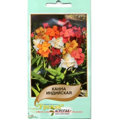 Насіння Канна індійська, 5 насінин