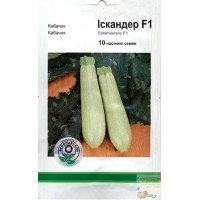 Семена кабачок Искандер F1, 10 семян