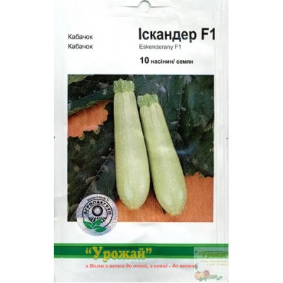 Насіння кабачок Іскандер F1, 10 насінин