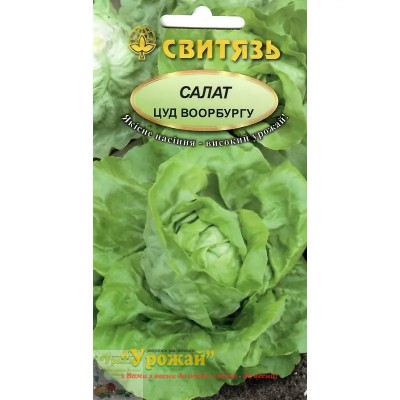 Насіння салат Цуд Воорбургу, 0,5 г