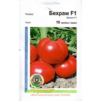 Семена томат “Бехрам” 10 семян