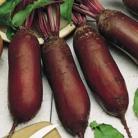 Семена свекла столовая Цилиндра инкрустация, кг