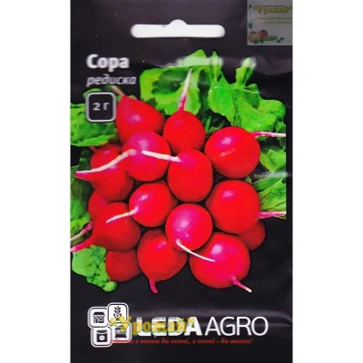 Насіння редиска Сора, 2 г