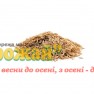 Насіння Райграс багаторічний, кг