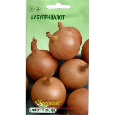Семена лук - Шалот 0,5 грамм