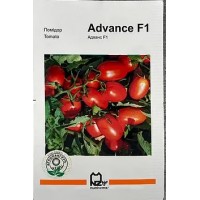 Семена томат Адванс F1 20 семян